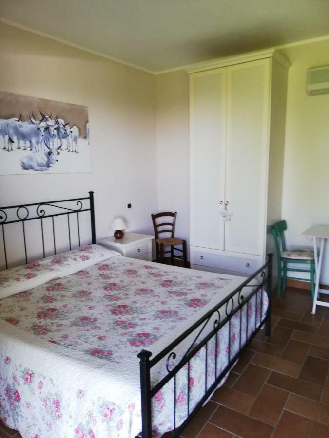 Agriturismo Prati Degli Orti Montiano  Exteriér fotografie